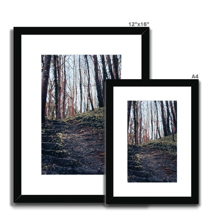 Green Escape Framed & Mounted Print
