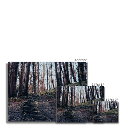 Green Escape Canvas