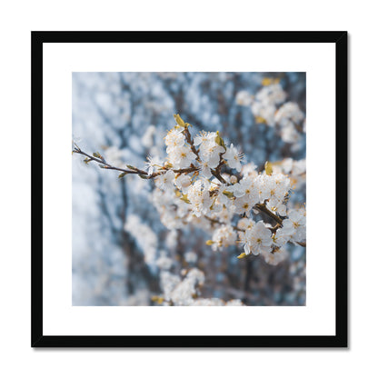 Delicate Whispers Framed & Mounted Print