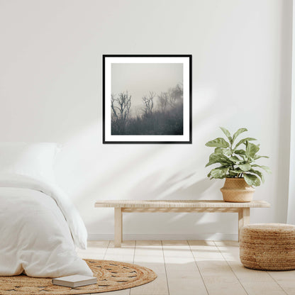 Fading Echoes Framed & Mounted Print