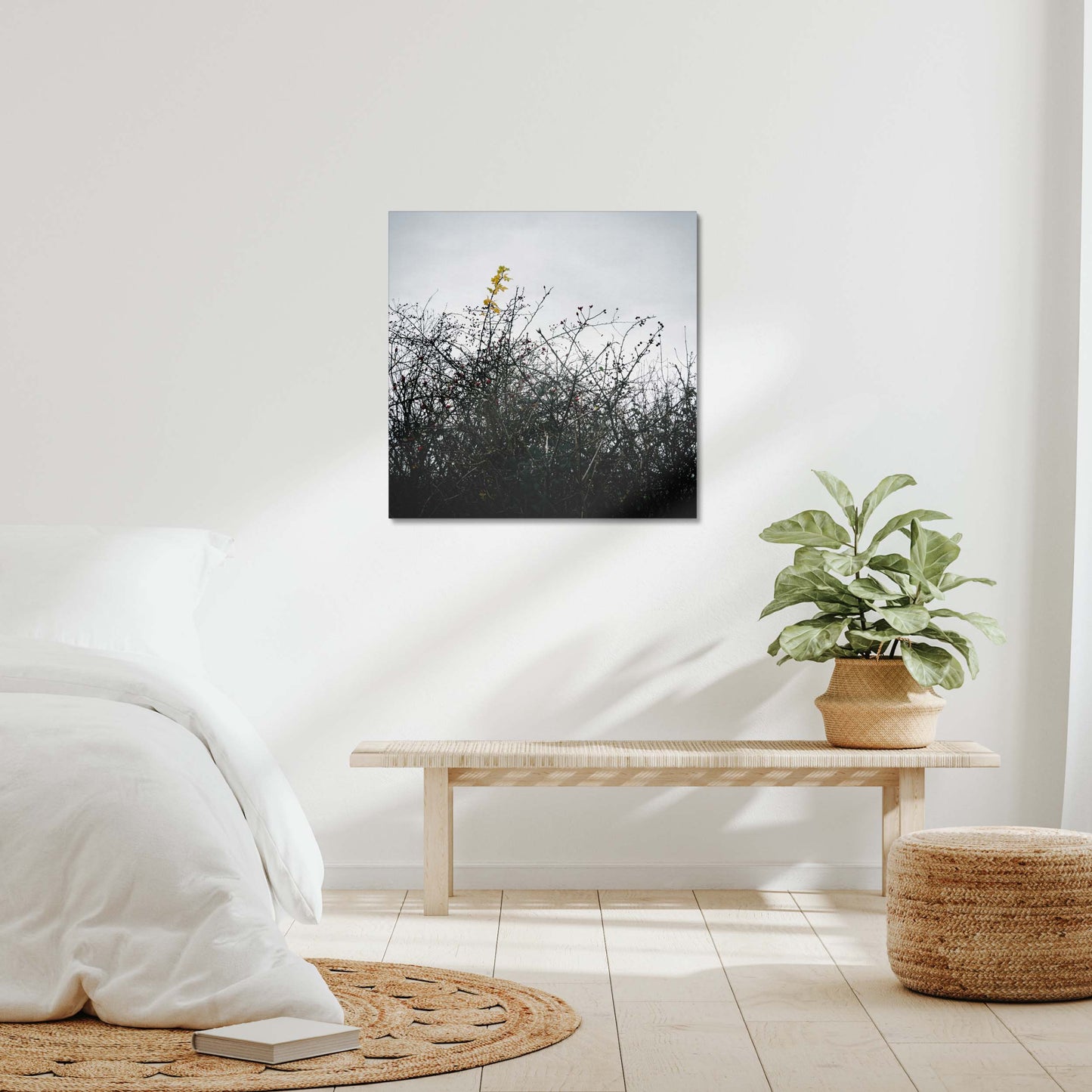 Vivid Harmony Canvas