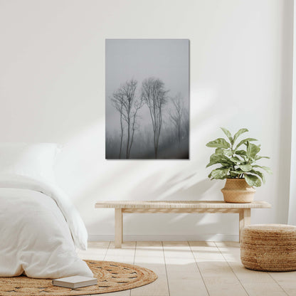 Lost in the Mist Canvas