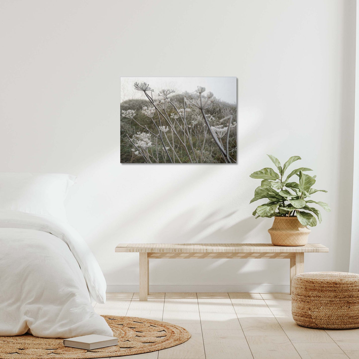 Frost Kissed Canvas