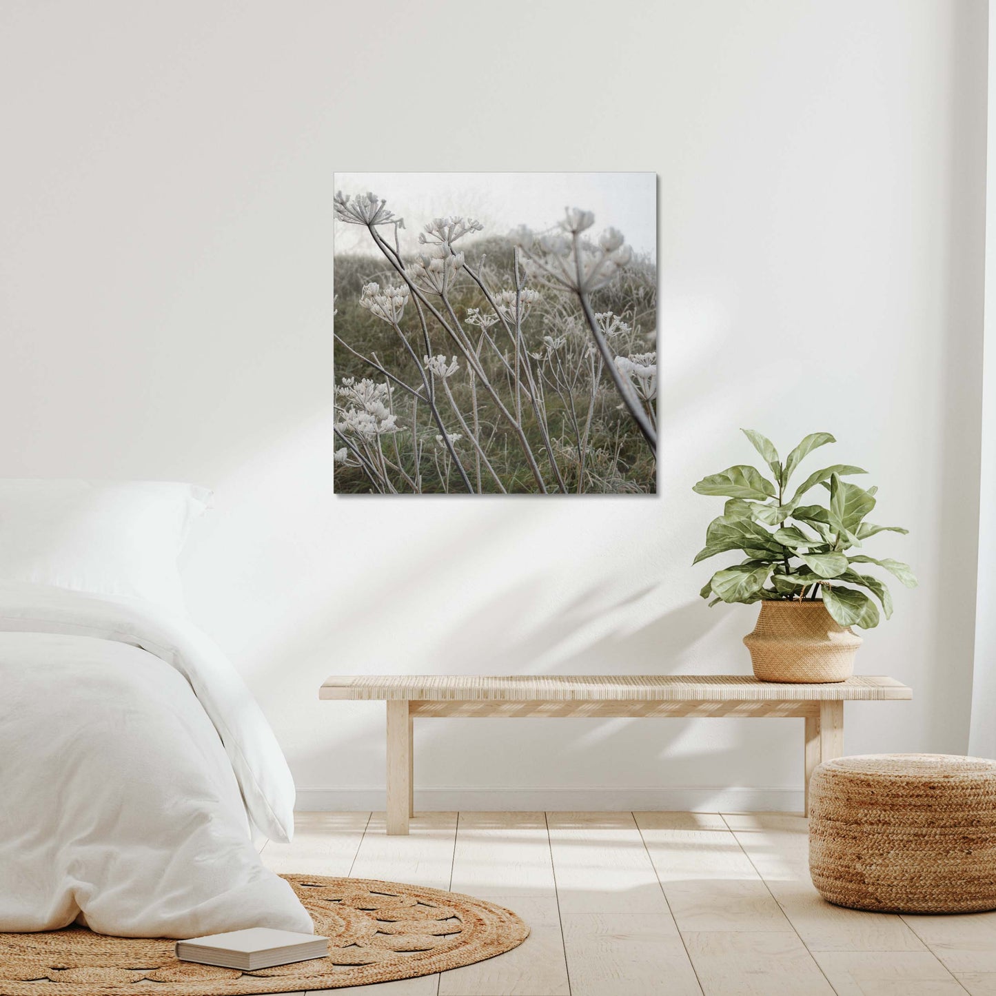 Frost Kissed Canvas