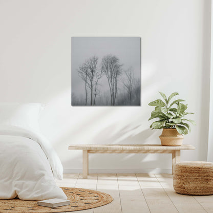 Lost in the Mist Canvas