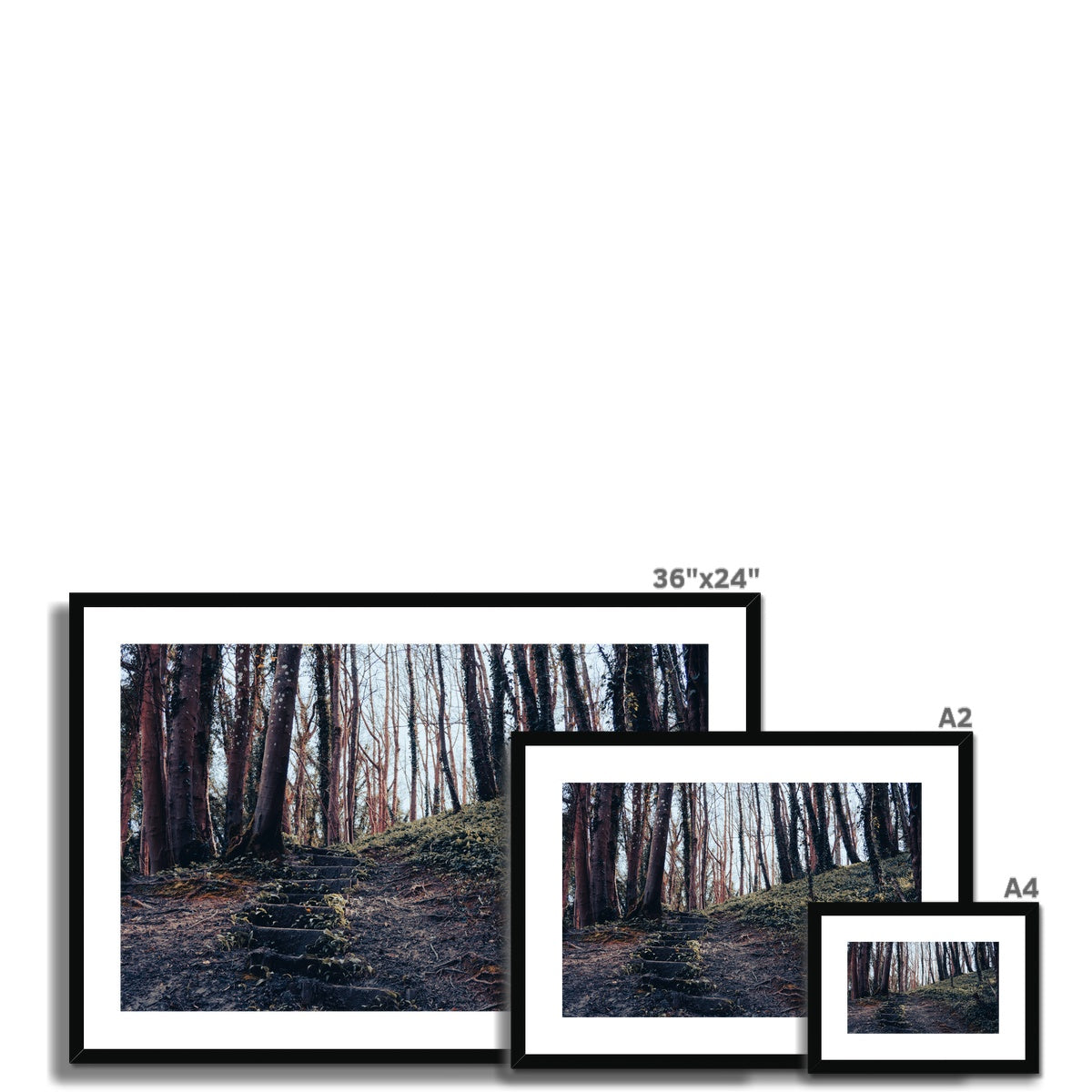 Green Escape Framed & Mounted Print