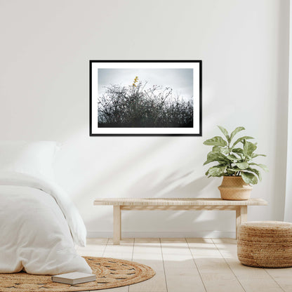 Vivid Harmony Framed & Mounted Print