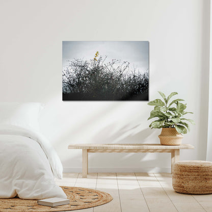 Vivid Harmony Canvas