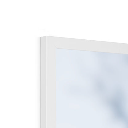 Delicate Whispers Framed Print