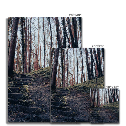 Green Escape Canvas