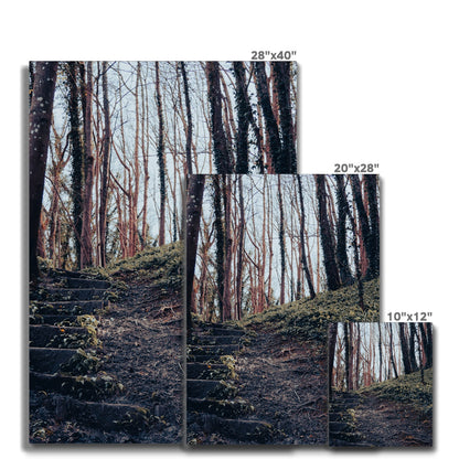Green Escape Canvas