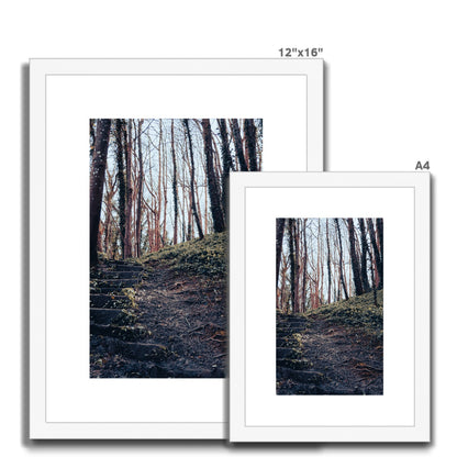 Green Escape Framed & Mounted Print