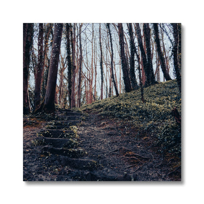 Green Escape Canvas