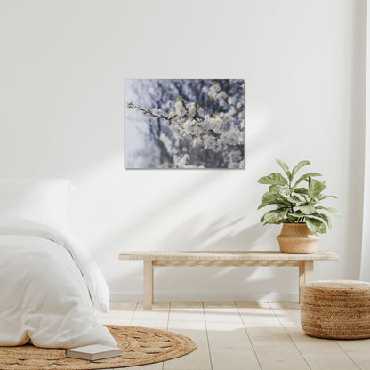 Delicate Whispers Canvas