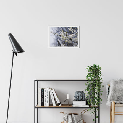 Delicate Whispers Framed Print
