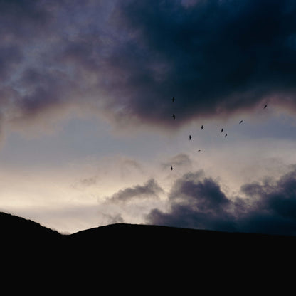 Dramatic Ascent Framed & Mounted Print