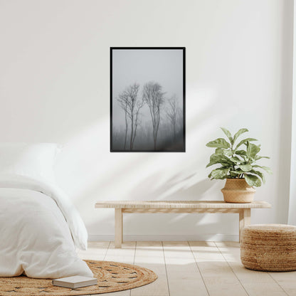 Lost in the Mist Framed Print