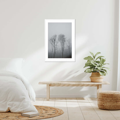 Lost in the Mist Framed & Mounted Print