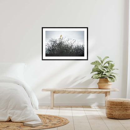 Vivid Harmony Framed & Mounted Print