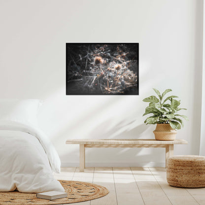 Wild Harmony Framed Print