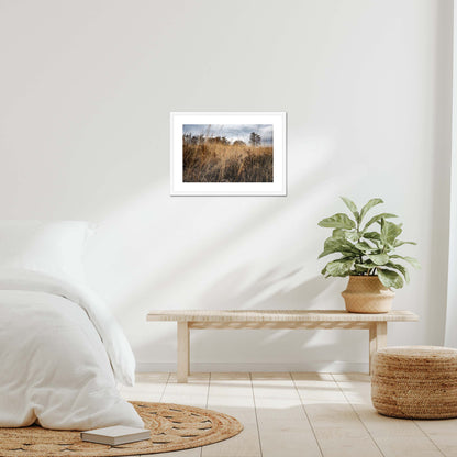 Amber Whispers Framed & Mounted Print