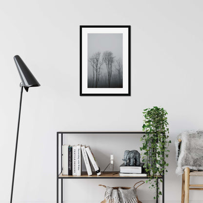 Lost in the Mist Framed & Mounted Print
