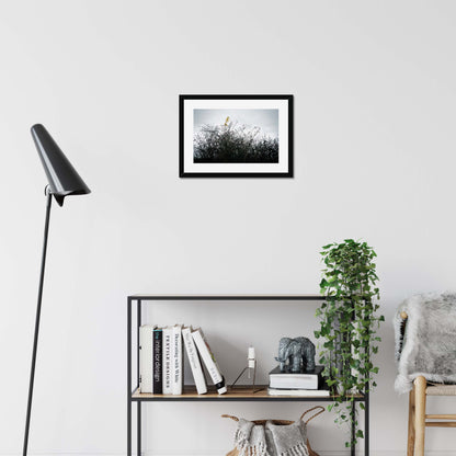 Vivid Harmony Framed & Mounted Print
