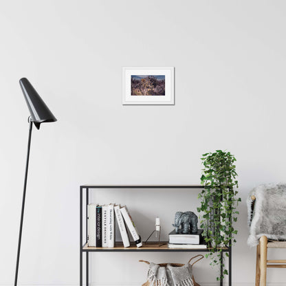 Golden Whispers Framed & Mounted Print
