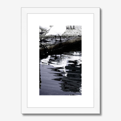Reflections of Grace Framed & Mounted Print