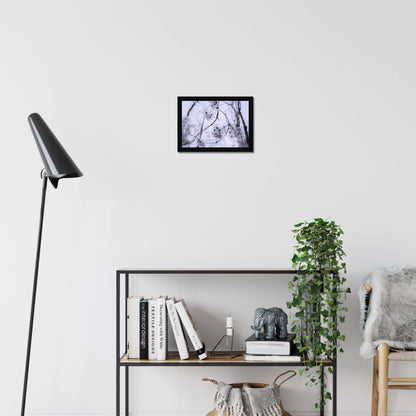 Whispers of Light Framed Print