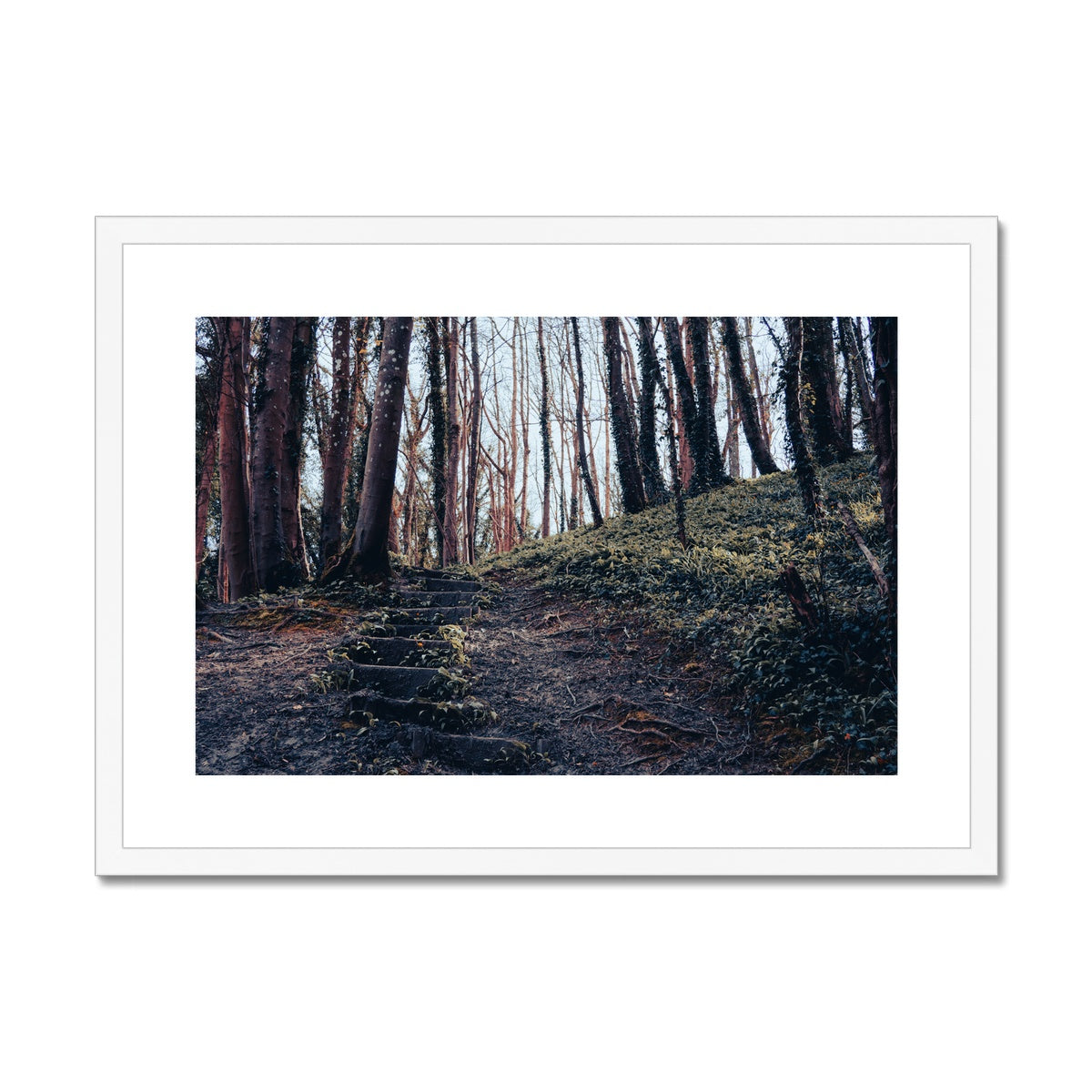 Green Escape Framed & Mounted Print