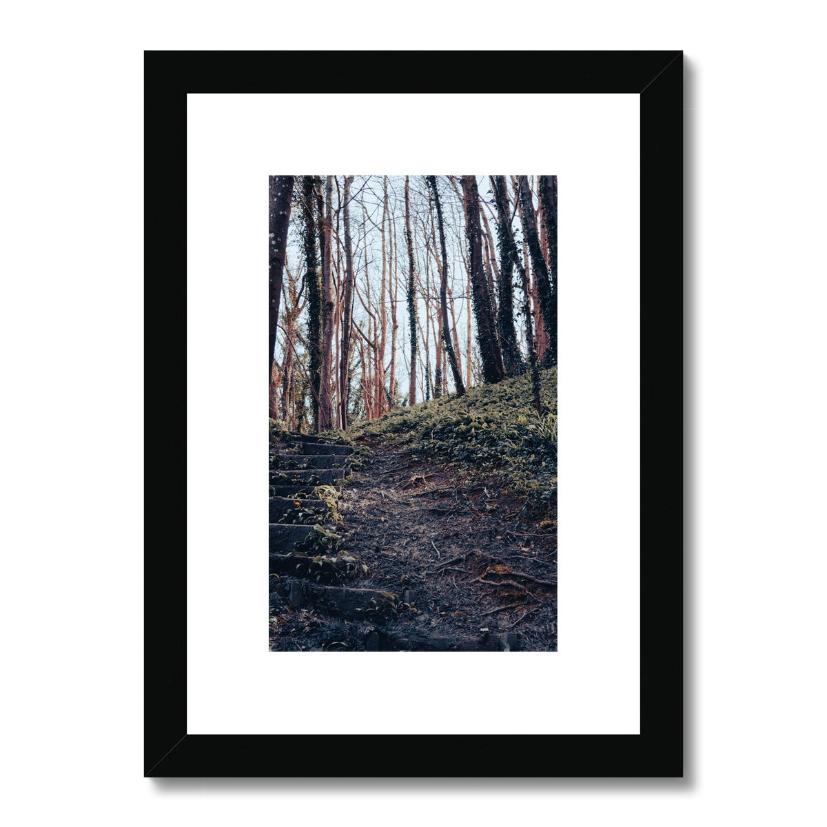 Green Escape Framed & Mounted Print