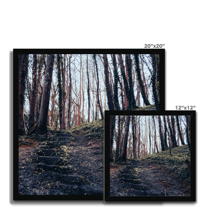 Green Escape Framed Print