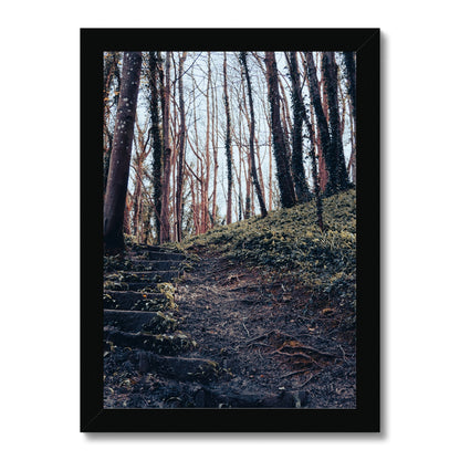 Green Escape Framed Print