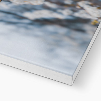 Delicate Whispers Canvas