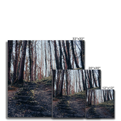 Green Escape Canvas