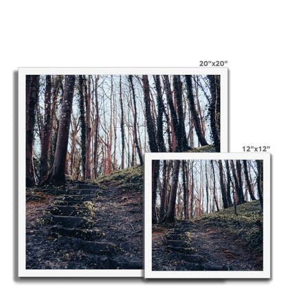 Green Escape Framed Print