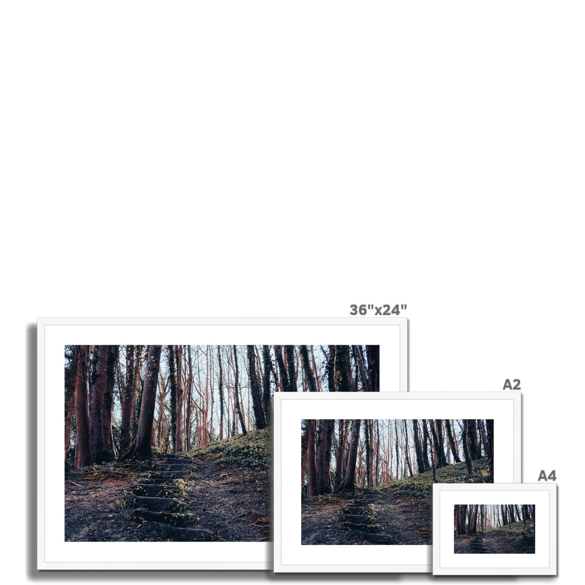 Green Escape Framed & Mounted Print