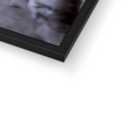 Whispers of Light Framed Print