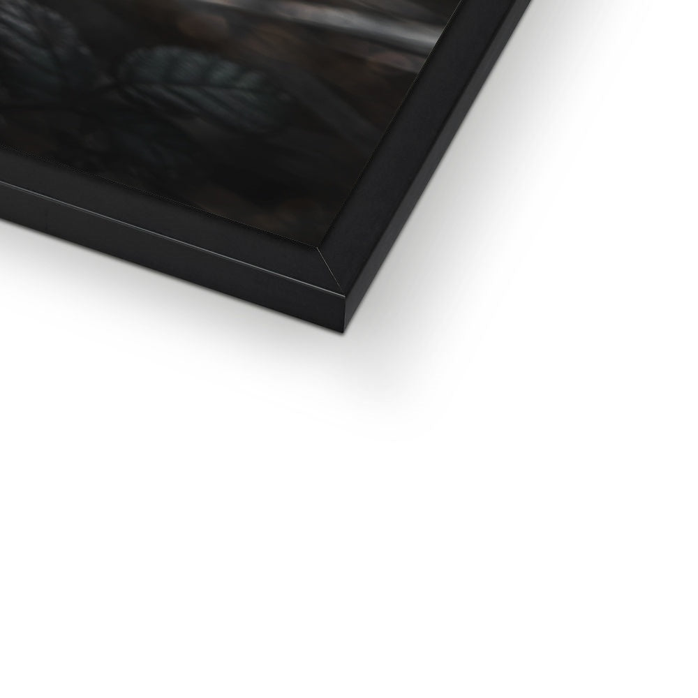 Wild Harmony Framed Print