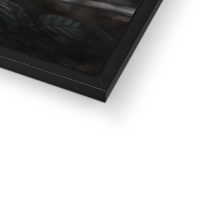 Wild Harmony Framed Print