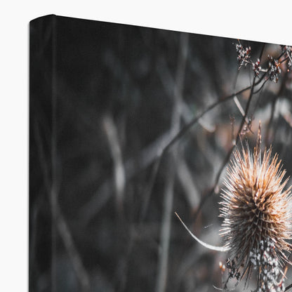 Wild Harmony Canvas