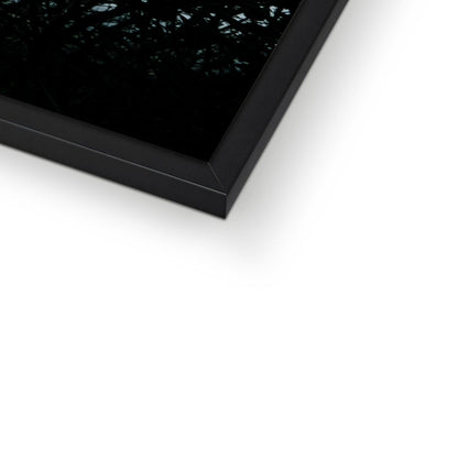 Vivid Harmony Framed Print