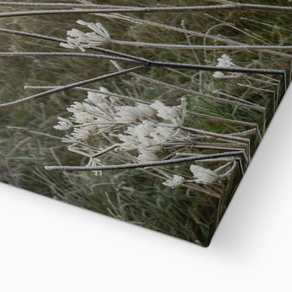 Frost Kissed Canvas