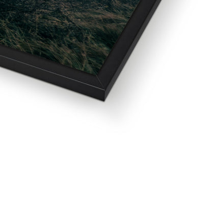 Fading Echoes Framed Print