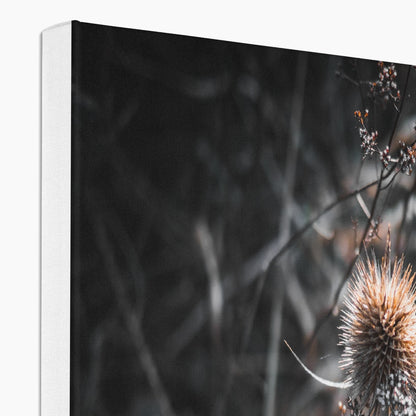 Wild Harmony Canvas