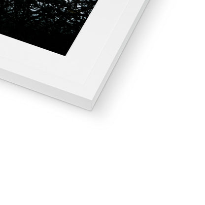 Vivid Harmony Framed & Mounted Print