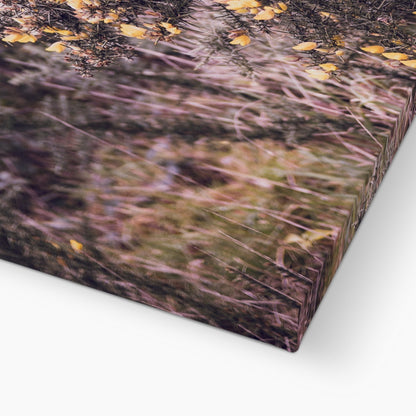 Golden Whispers Canvas